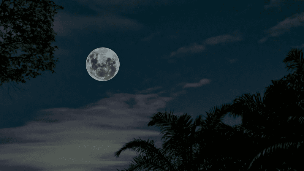 Пълнолуние в Лъв